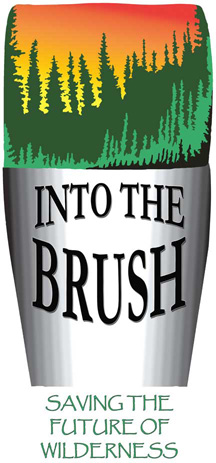 Into The Brush - Saving the Future of Wilderness - One Stroke at a Time